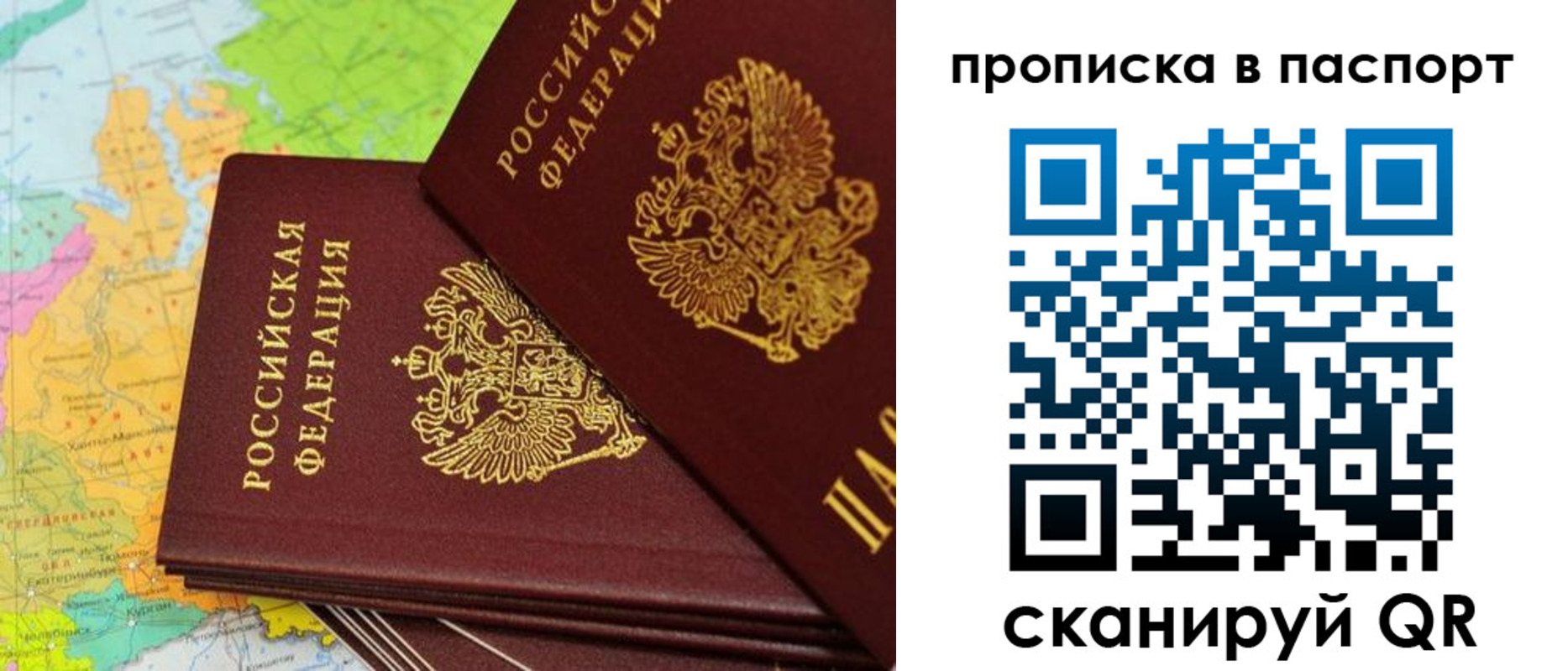 прописка поиск в Сельцо