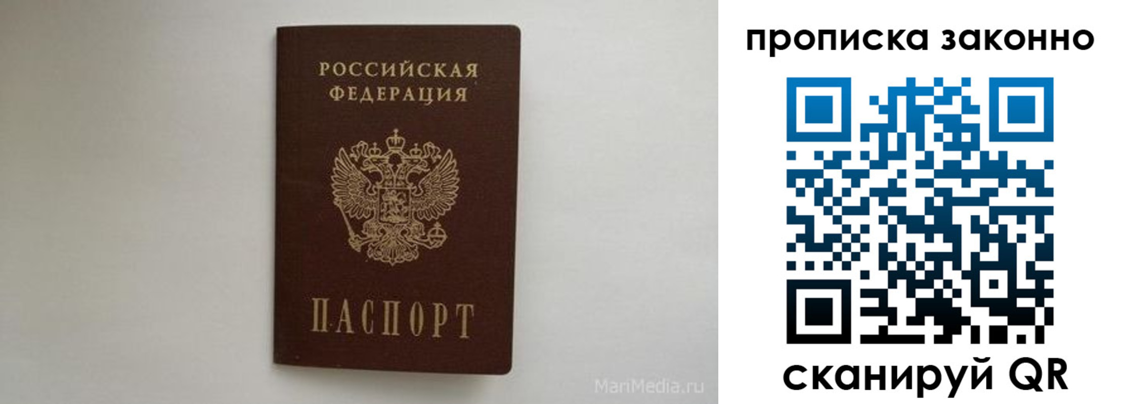 купить прописку в Сельцо